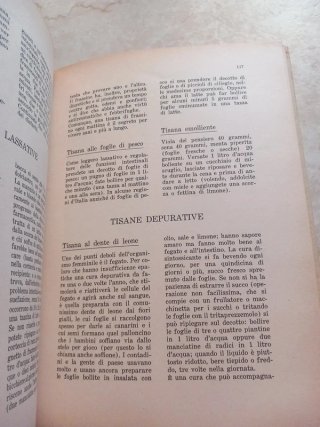 Erbe e bellezza - Erina Gavotti