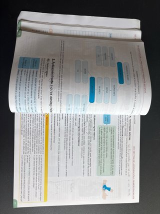 Libro IPE