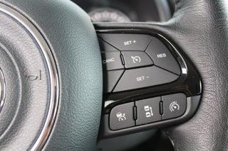 Jeep Renegade Limited 1.6 Mjet 95,6kW (130CV) 4x2
