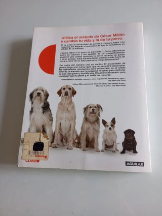 El líder de la manada Adiestra a tu perro. Renu...
