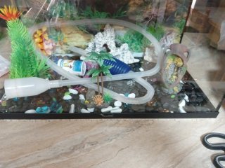 Acuario con accesorios