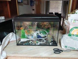 Acuario con accesorios