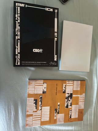 Stray Kids GO LIVE 1st ALBUM + BTS + Yellow Wood