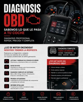 Diagnosis PROFESIONAL OBD