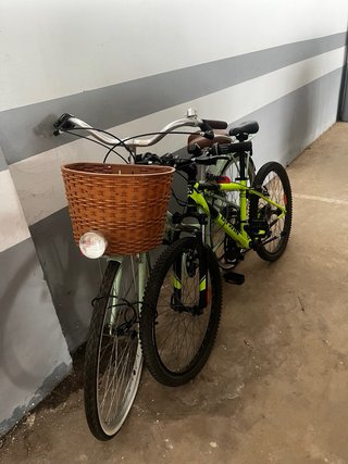 Lote 2 Bicicletas: Junior y Mujer