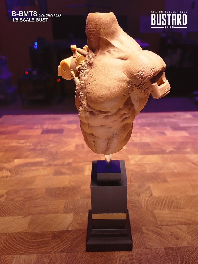 Exclusivo T800 Battle Damaged Custom BUST 1/6
