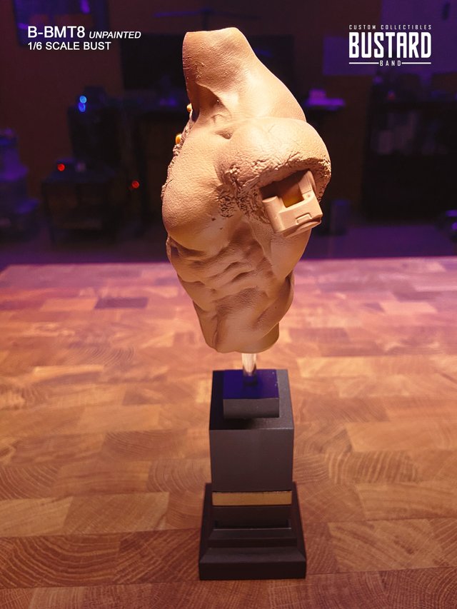 Exclusivo T800 Battle Damaged Custom BUST 1/6
