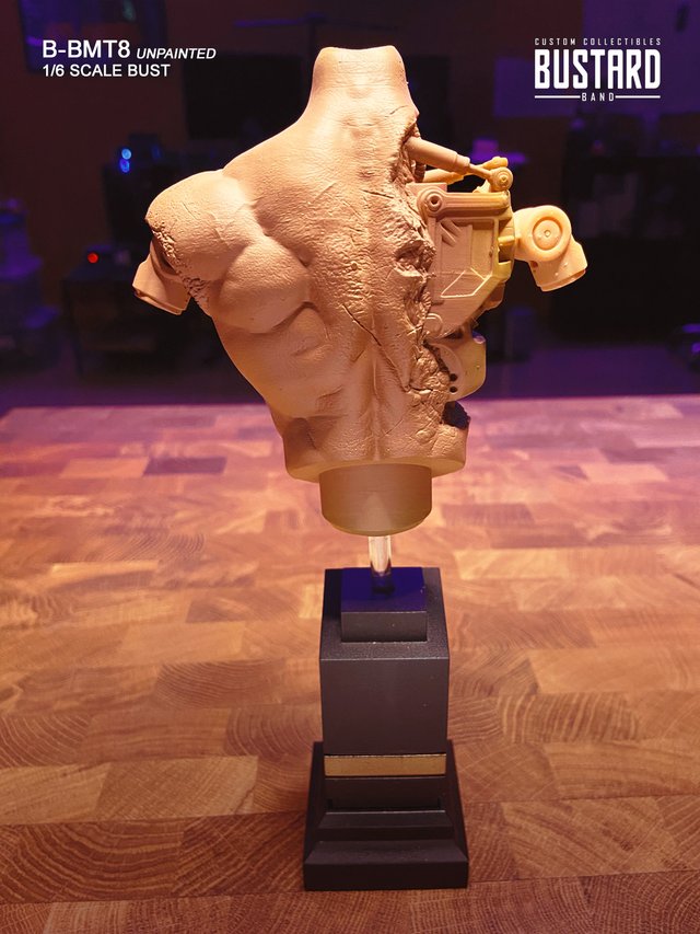 Exclusivo T800 Battle Damaged Custom BUST 1/6