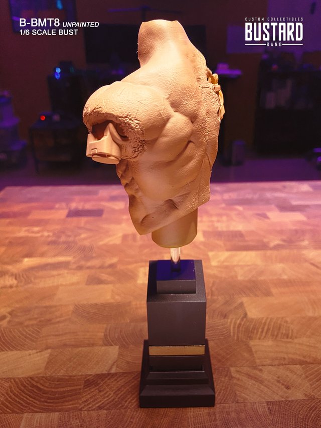 Exclusivo T800 Battle Damaged Custom BUST 1/6