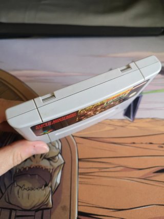 Donkey Kong Country 2 (Super Nintendo)