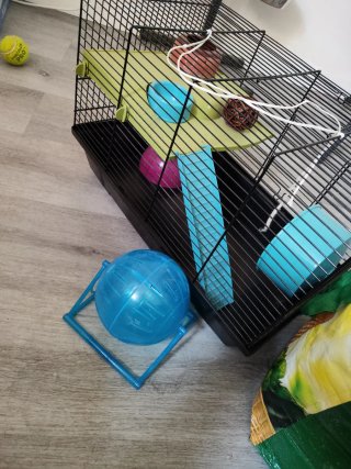 Jaula para hámster con accesorios.