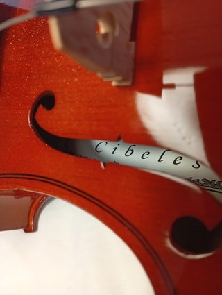 VIOLÍN ESTUDIO 1/2