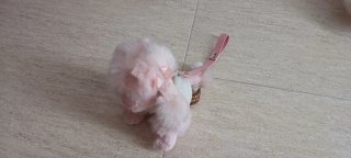 Lote 3 peluches: pingüino, perro y oso