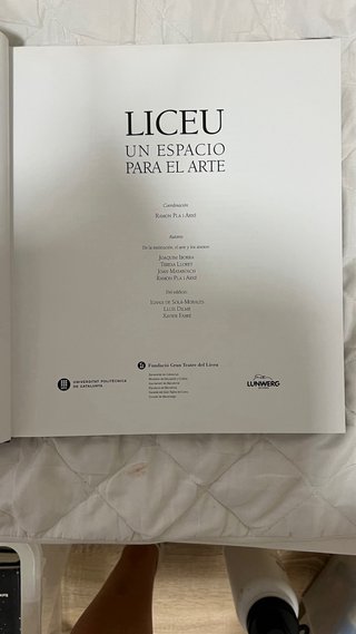 Liceu un espacio para el arte