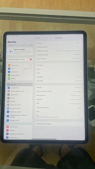 iPad Pro 12.9 6ª Gen 256GB Wifi+Cel