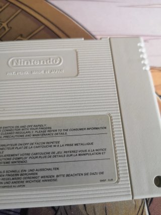 Donkey Kong Country 3 (Super Nintendo)