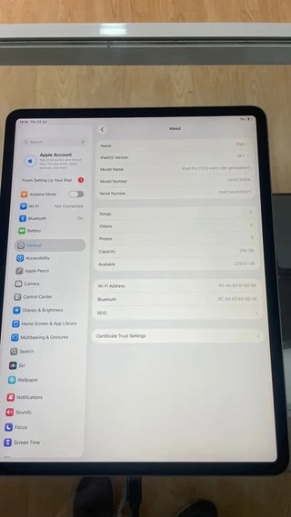 iPad Pro 12.9 4ª Gen 256GB Plata