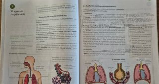 Biología y geología, 3 ESO, Operación mundo