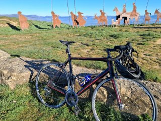 Bicicleta de carretera carbono