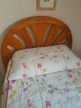 2 Camas Madera 190x95 125 cada una