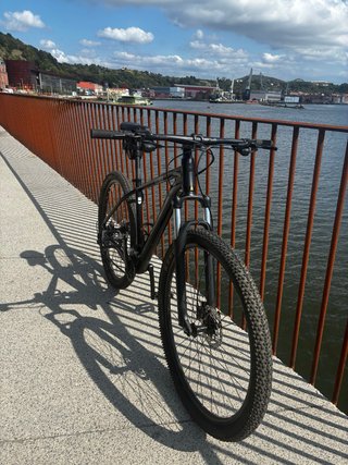 Orbea MX 50 29 Bicicleta Montaña XC