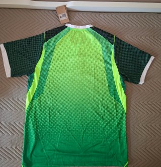 Camiseta Fútbol Nigeria Verde
