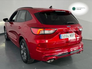 Ford Kuga ST-Line 1.5 EcoBlue 88kW (120CV) Auto