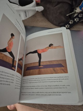 Yoga para principiantes : las mejores posturas ...