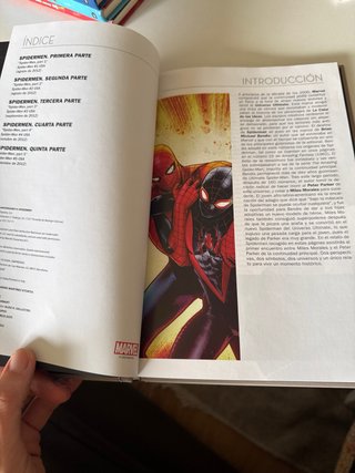 Spiderman 60 aniversario spidermen