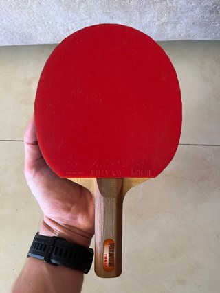 Raqueta Tenis de Mesa JOOLA con Funda