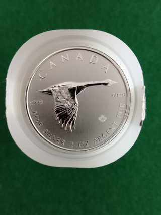 Moneda Plata Canadá Ganso 2 Oz ¡VER DESCRIPCIÓN!