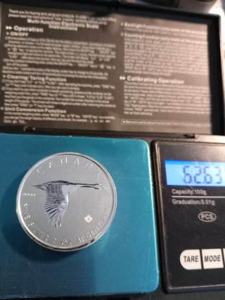 Moneda Plata Canadá Ganso 2 Oz ¡VER DESCRIPCIÓN!