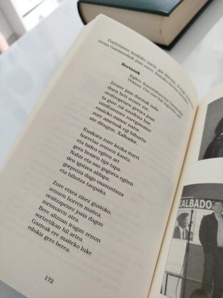 XALBADORREN ITZALEAN: HAMAR URTE (AUSPOA) (Basq...