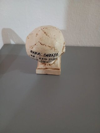 Figura Calavera Souvenir Guanajuato