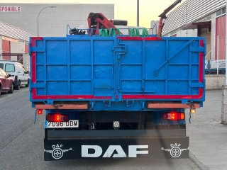 Camión DAF LF 180 con Grúa PK8500