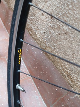 Ruedas Mavic CXP21 CODA Expert CAAD4