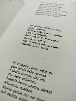 Irriparrezko printzak