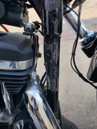 Harley-Davidson modelo FORTY EIGHT ESPECIAL