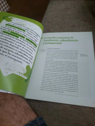 Término, Lengua, Bachillerato