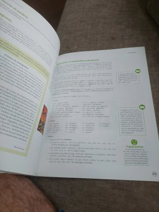 Término, Lengua, Bachillerato