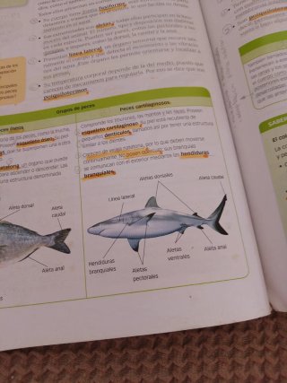 Libro de texto Biología y Geología