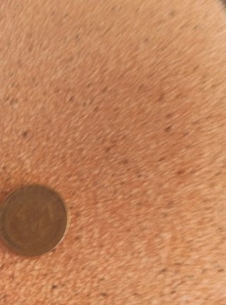 4 Monedas de 2,50 Pesetas de 1953