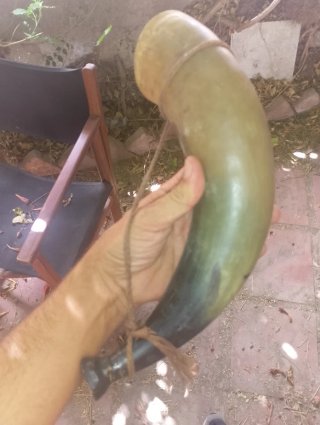 Trompeta de cuerno de animal