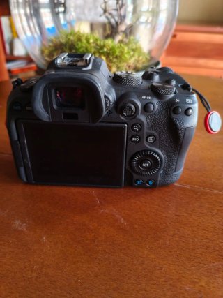Canon EOS R6 Cámara Mirrorless