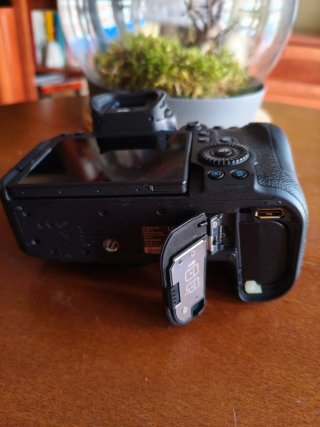Canon EOS R6 Cámara Mirrorless
