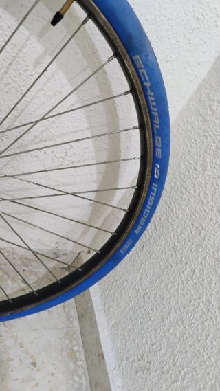 Rodillo Elite Novo Force Elastigel + rueda 26 "