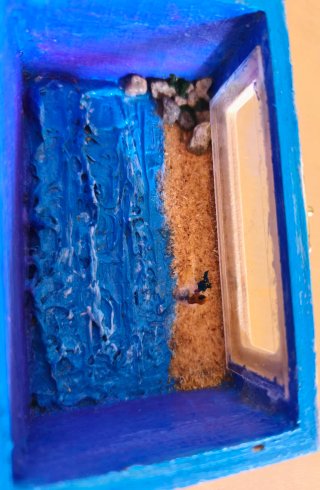 Scatola Diorama Marino Artigianale