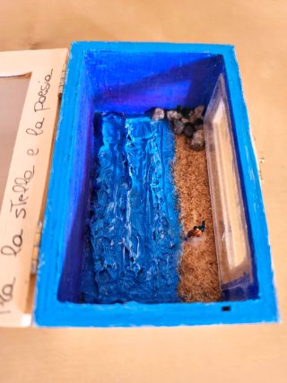 Scatola Diorama Marino Artigianale