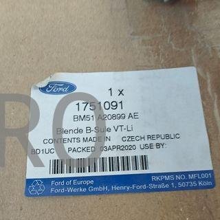 MOLDURA PUERTA DELANTERA IZQUIERDA FORD FOCUS