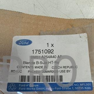 MOLDURA PUERTA TRASERA DERECHA FORD FOCUS NUEVO
